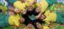 Start Your Own Preschool Franchise in India with Makoons