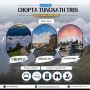 Chopta Tungnath Trek Package: Explore with Manchala Mushafir