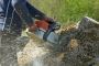 M&J Tree Service LLC | Tree Service in Charlotte NC