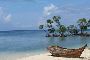 LTC Package to Andaman LTC Package to Andaman