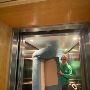 Break Into Your New Apartment Hassle-Freely