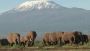 Best Kenya Tanzania Safari Travel Packages & Adventure Tours