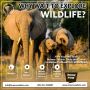 Bird Watching Tour Packages Kenya Bird Watching Tour Packages Kenya