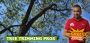 Tree Trimming in NJ – Amazing Tree Services