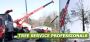 Ash Tree Removal in NJ – Amazing Tree Services Ash Tree Removal in NJ – Amazing Tree Services