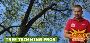 Professional Tree Trimming Totowa, NJ – Safe & Thorough