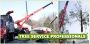 Tree Removal Price Estimate – Amazing Tree Services