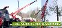 Tree Removal Cost MORRIS County, NJ