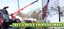 Tree Care in Totowa, NJ – Amazing Tree Services