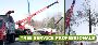 Tree Removal Cost in NJ – Amazing Tree Services Tree Removal Cost in NJ – Amazing Tree Services