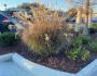 Landscape Consultation Services in Baton Rouge LA