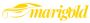 Marigold Services  Non-Fault accident claims Management 