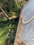 Gutter Cleaning
