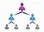Network Marketing Business Pre Built WEEKLY PAY