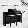 Experience the Elegance with Casio Digital Piano
