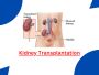 Kidney Transplant In India