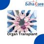 Best Organ Transplant Surgery In India | EdhaCare