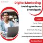 Digital Marketing Internship