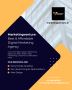 marketingventure-Best & Affordable Digital Marketing Agency