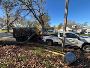 Professional Fall Yard Clean Up and Lawn Clean Up Services