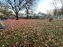 Spring Clean Up Landscaping and Fall Yard Cleanup Services