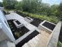 Expert Landscape Care and Maintenance Services You Trust