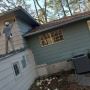 Best Stump Removal & Grinding Services in Tallahassee, FL