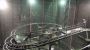 Trusted Metal Fabricator for Queensland's Iconic Theme Parks