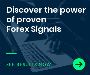 Become a professional trader with the best Forex signals!