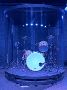 Practical Drum Sound Isolation Solutions