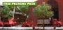 Tree Pruning in NJ