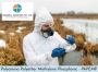 PAPEMP Chemical - A Powerful Solution for Water Treatment in