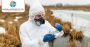Benzalkonium Chloride - BKC 50% - A Vexillum Biocide 