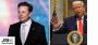 Elon Musk Blasts Trump Tariffs, US Economy Recession in 2025