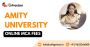 Amity University online MCA fees