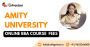 Amity University online BBA fees