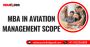 Mba in aviation management scope