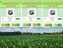 Customer Spotlight: American BioChar Company - microBIOMETER