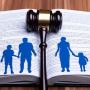 What to Expect When Working with a Drug Offenses Lawyer for 