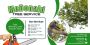 Reliable Tree Removal Services in Billerica, MA