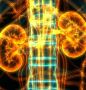 Queens Nephrology