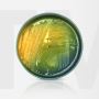 TCBS Agar | Tmmedia| Manufacturer And Exporter