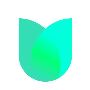 Meettulip