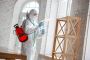 Discover the Best Pest Control in Langley BC
