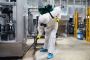 Effective Pest Control in Abbotsford to Protect Your Propert