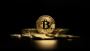The Best Crypto Wallet In UAE The Best Crypto Wallet In UAE