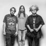 Melvins Merch