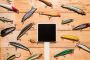 Live Composting & Fishing Worms for Sale 