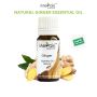 Ginger Essential Oil at Meraki Essentials