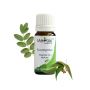 Eucalyptus Essential Oil
